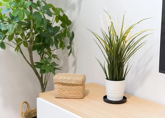 Urban Oasis Apartment *